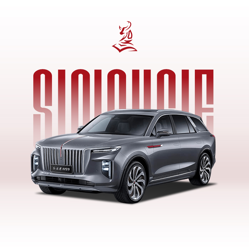 2021款红旗E-HS9 460公里 - 经济实惠的6座电动SUV