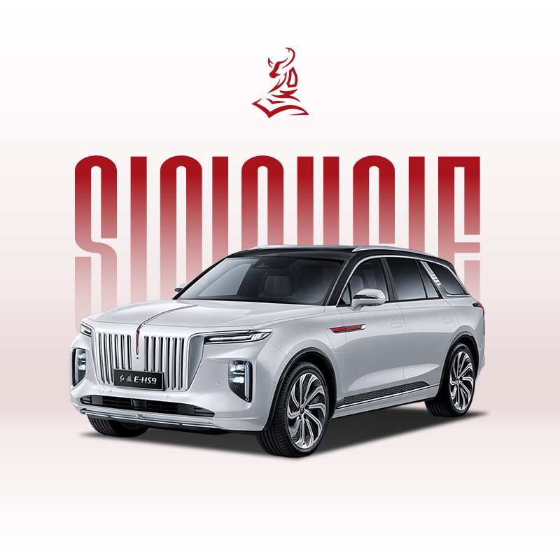 2021款红旗E-HS9 460公里 - 经济实惠的6座电动SUV