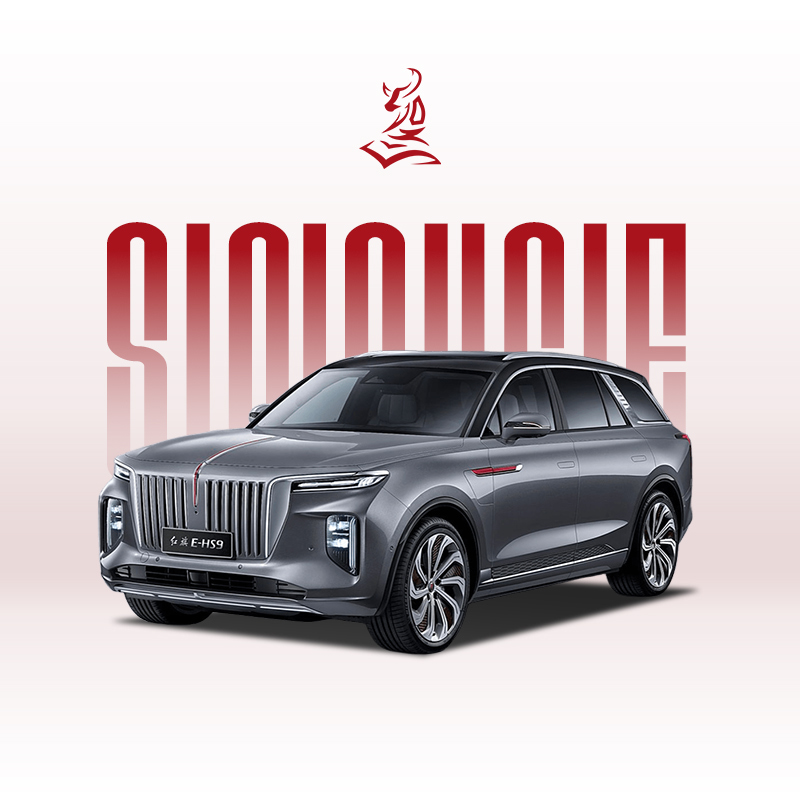 2021款红旗E-HS9 460公里 - 经济实惠的6座电动SUV