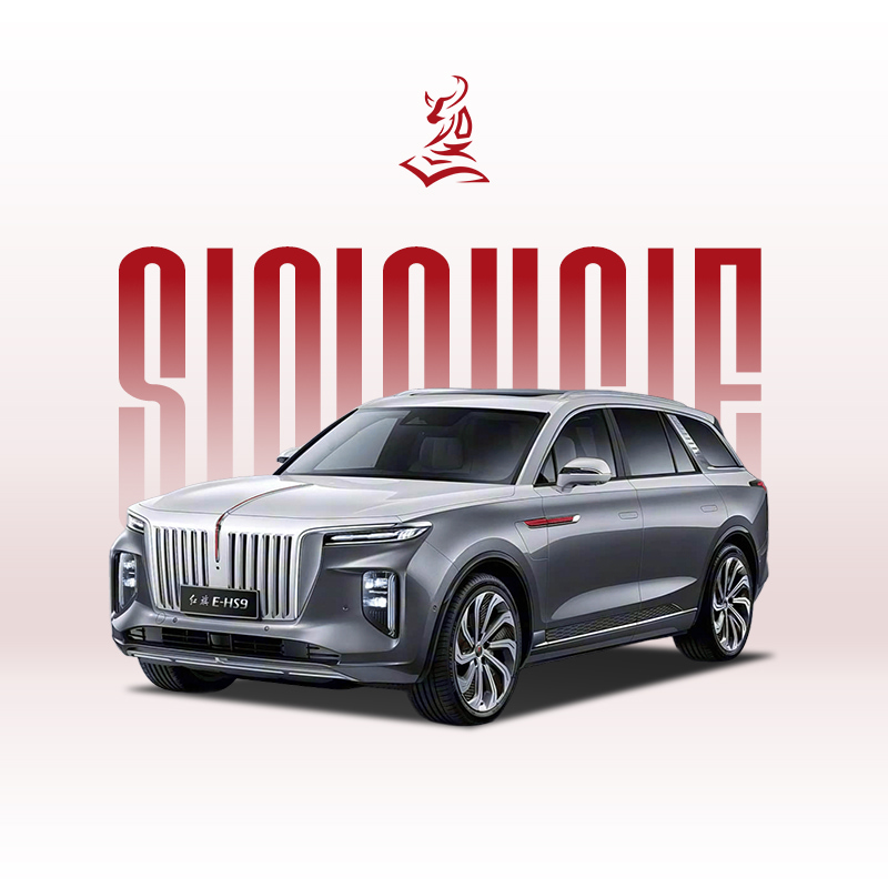 2021款红旗E-HS9 460公里 - 经济实惠的6座电动SUV