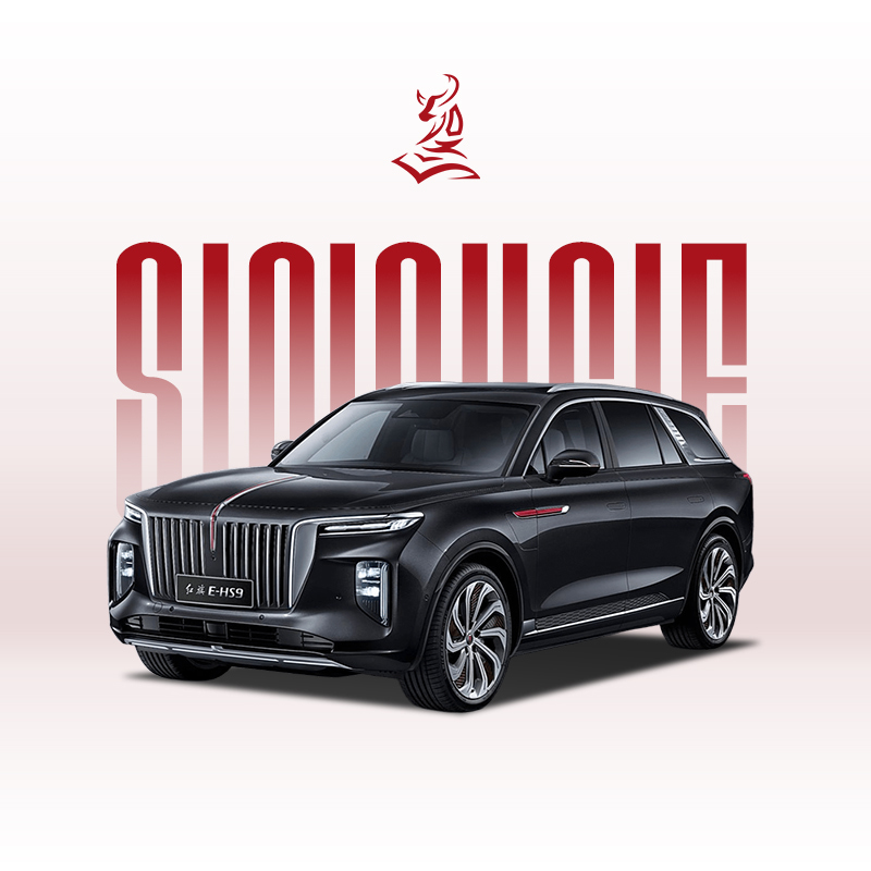 2021款红旗E-HS9 460公里 - 经济实惠的6座电动SUV