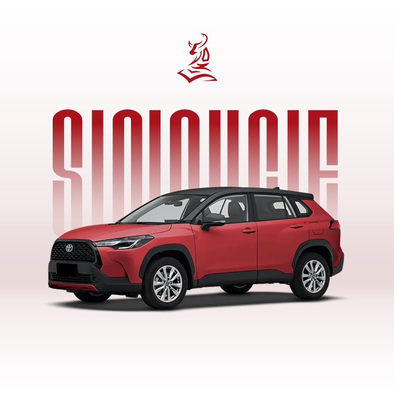 2024款卡罗拉锐放 2.0L 先锋版和精英版