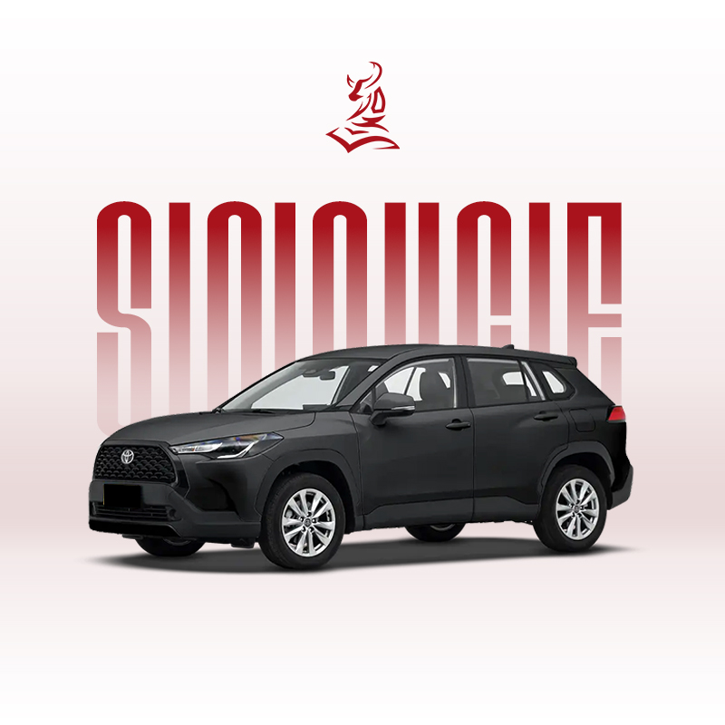 2024款卡罗拉锐放 2.0L 先锋版和精英版