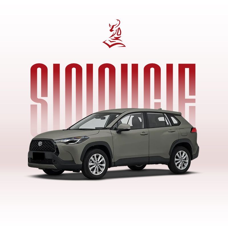 2024款卡罗拉锐放 2.0L 先锋版和精英版