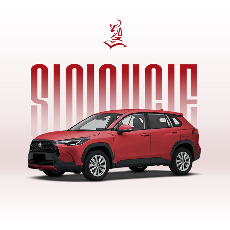 2024款卡罗拉锐放 2.0L 先锋版和精英版