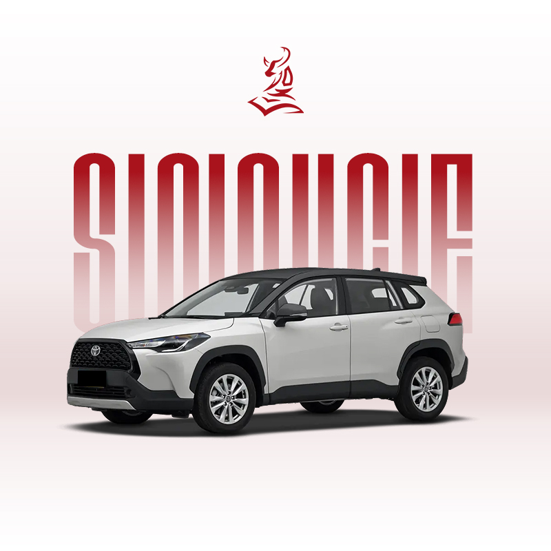 2023款新款卡罗拉锐放2.0L先锋版和精英版