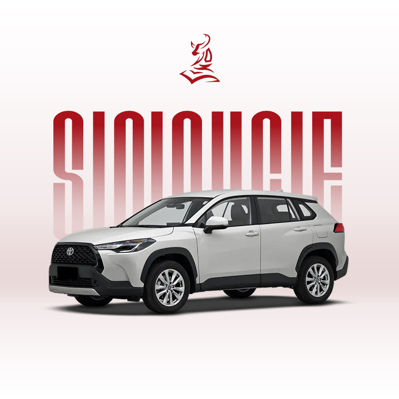 2024款丰田卡罗拉锐放 2.0L 智能电混双擎先锋版和精英版