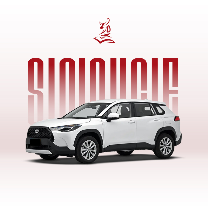 2024款丰田卡罗拉锐放 2.0L 智能电混双擎先锋版和精英版