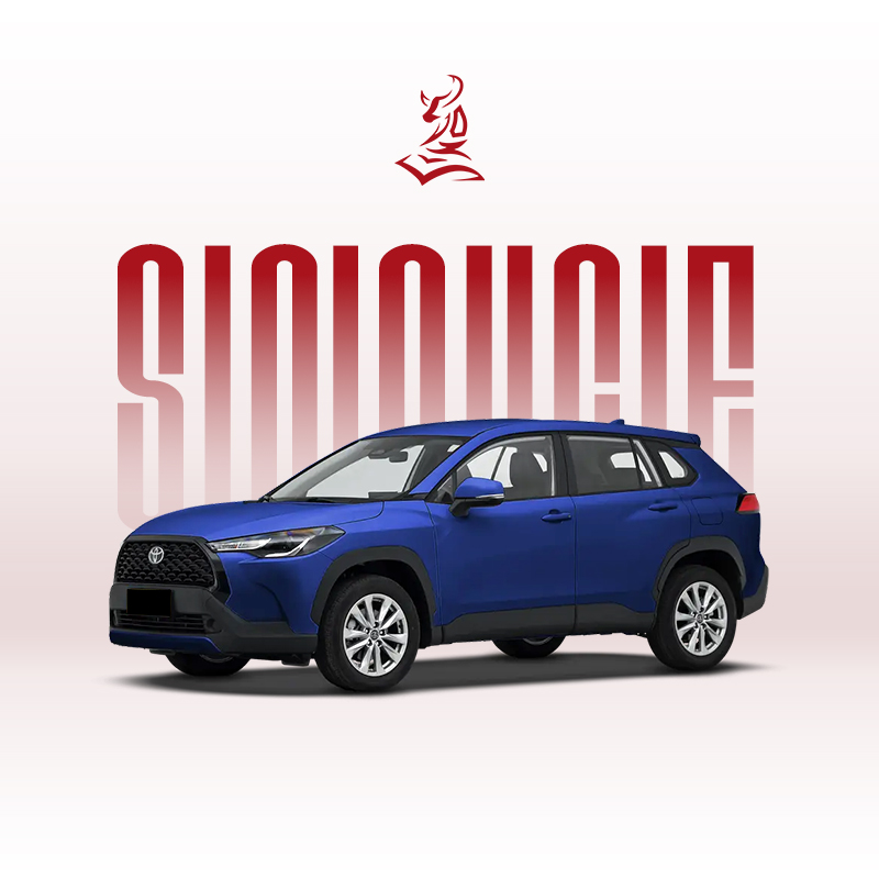 2024款丰田卡罗拉锐放 2.0L 智能电混双擎先锋版和精英版