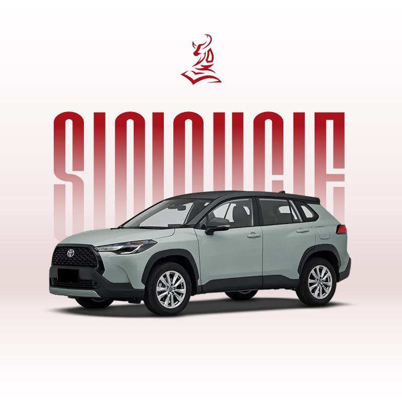 2024款丰田卡罗拉锐放 2.0L 智能电混双擎先锋版和精英版