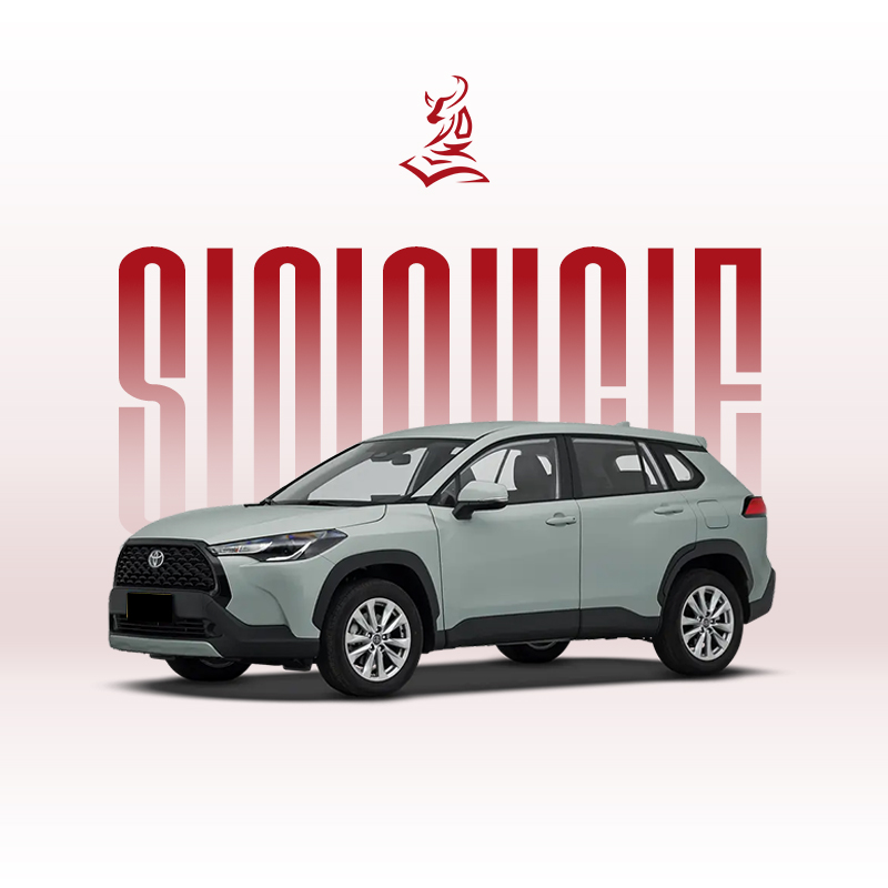 2024款丰田卡罗拉锐放 2.0L 智能电混双擎先锋版和精英版