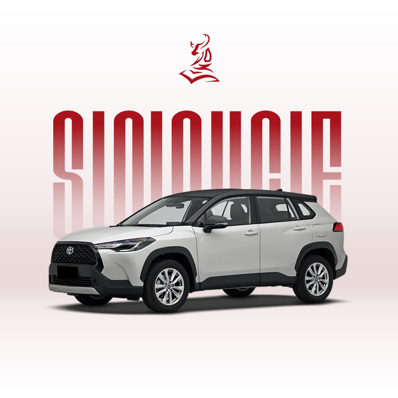 2024款丰田卡罗拉锐放 2.0L 智能电混双擎先锋版和精英版