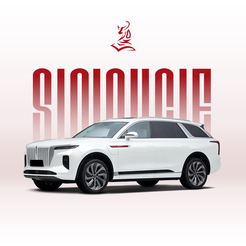 2024款红旗E-HS9六座豪华电动SUV——适合商务人士和家庭