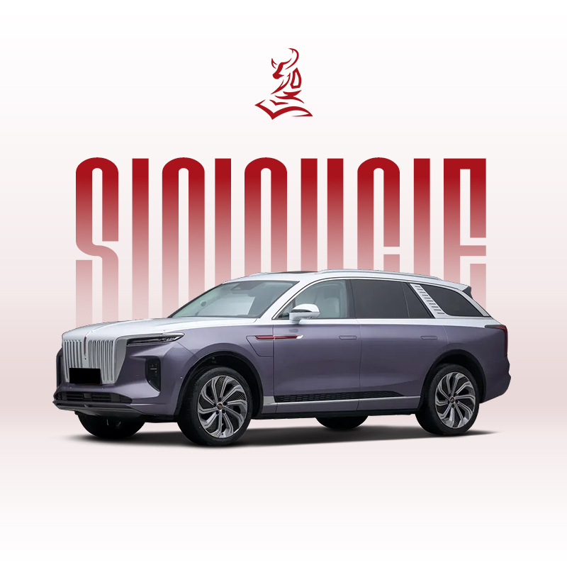 2024款红旗E-HS9六座豪华电动SUV——适合商务人士和家庭