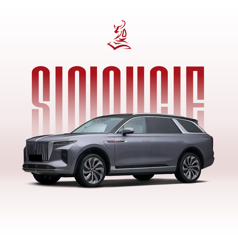 2024款红旗E-HS9六座豪华电动SUV——适合商务人士和家庭